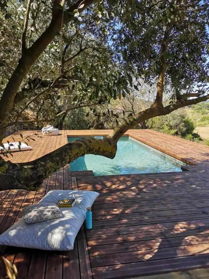 Biovilla Sustentabilidade Palmela Exteriér fotografie