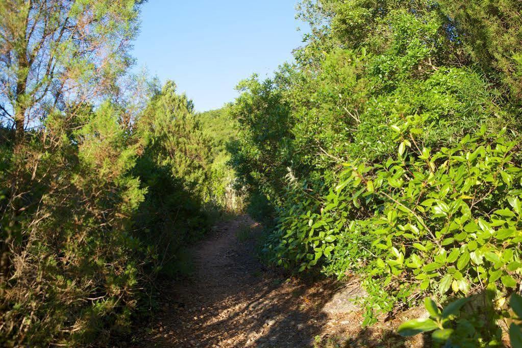 Biovilla Sustentabilidade Palmela Exteriér fotografie